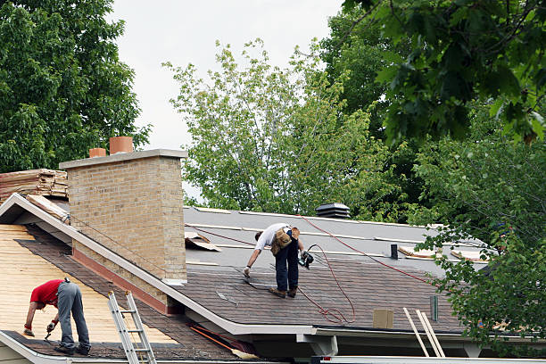 Best Roof Gutter Cleaning  in Georgetown, KY